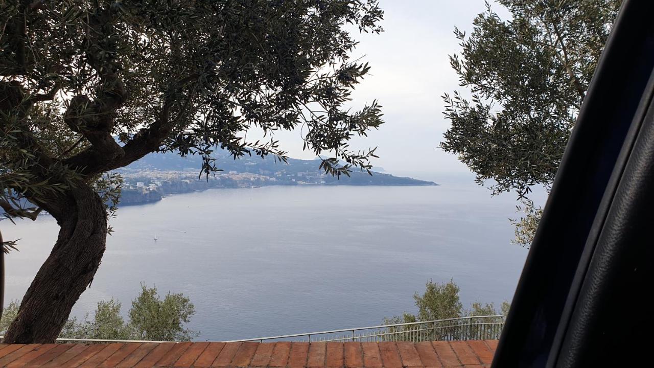 Grimaldi Guest Appartement Sorrente